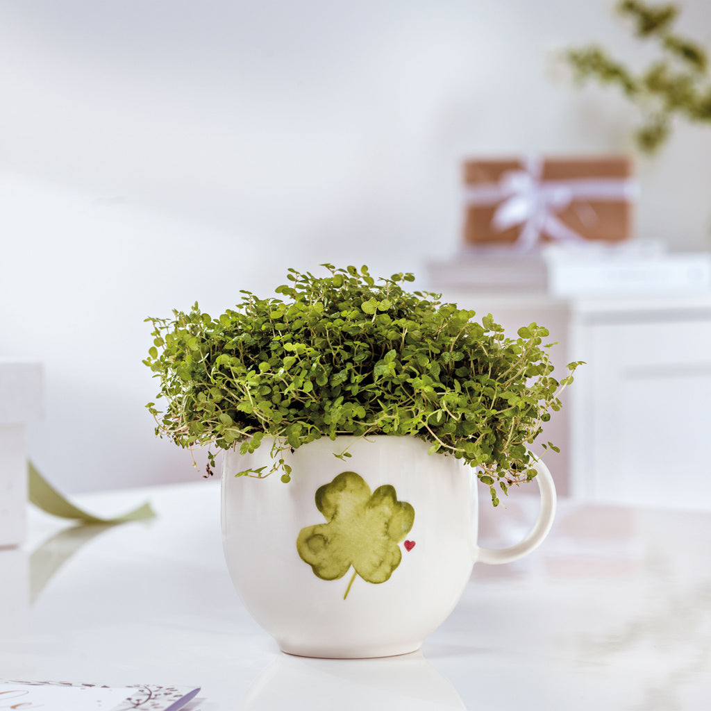 With Love Mug Good Luck 290ml