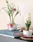 Rose Garden Coffee Cup 160 ml
