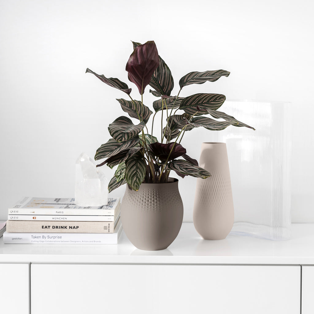 Manufacture Collier taupe Vase Perle large