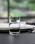 NewMoon Tumbler Set 4 pcs