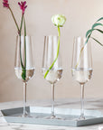 Rose Garden Champagne Flute Set of 4 Pieces