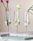 Rose Garden Bubbly drink flute Set 4pcs