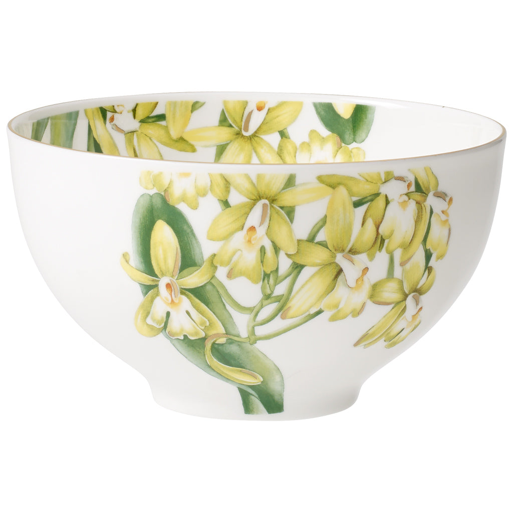 Amazonia Bowl 4 Pieces 0.7L