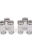 Palace Chic-Silver S/6 Long Drink 350mL