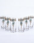 Palm Green Set of 6 Long Drink 350 ml