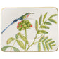 Amazonia Tea Set 6 Person On 15 Pieces